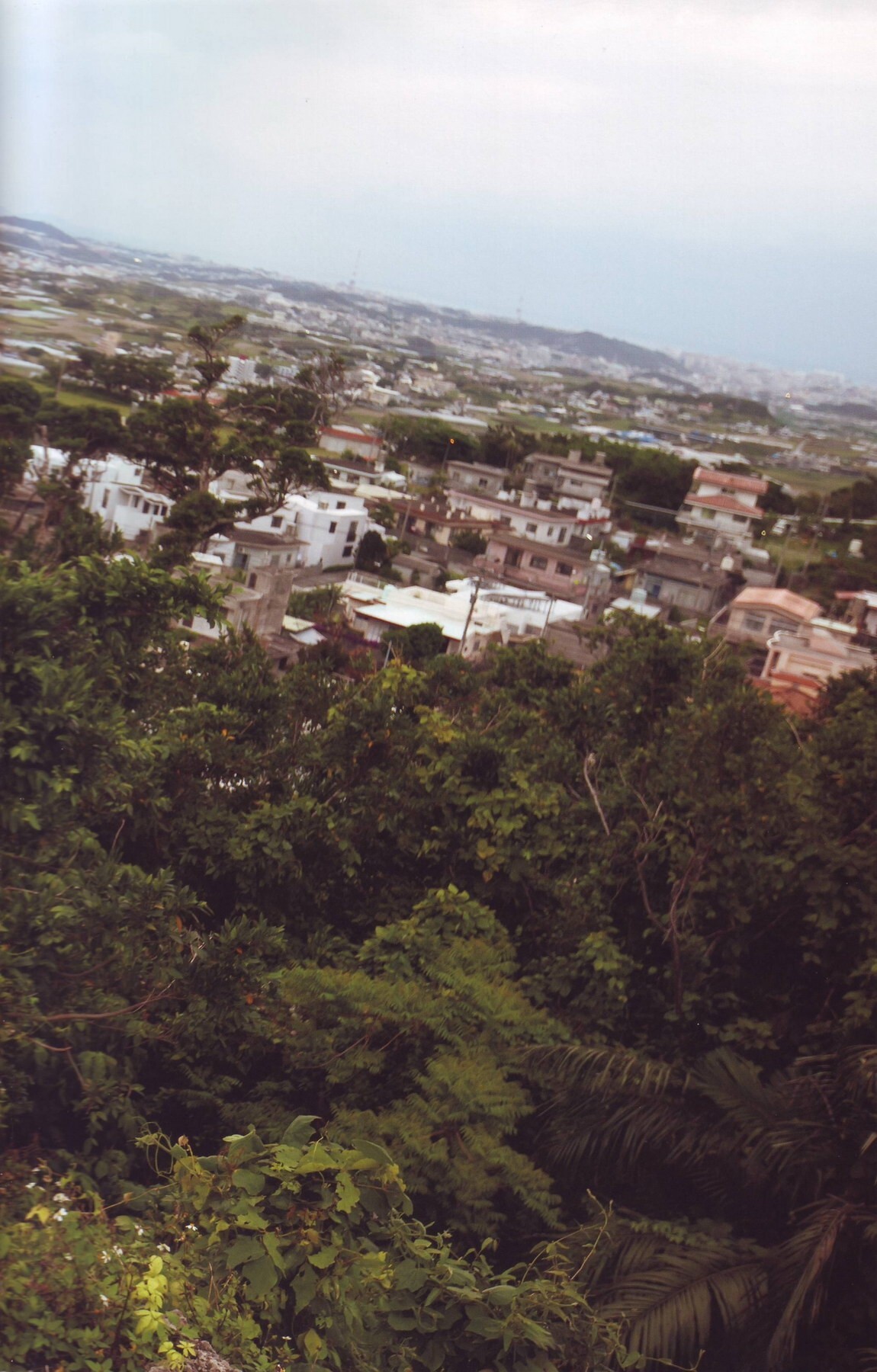 [唯美写真] 新垣里沙 Risa Niigaki《Ascension》